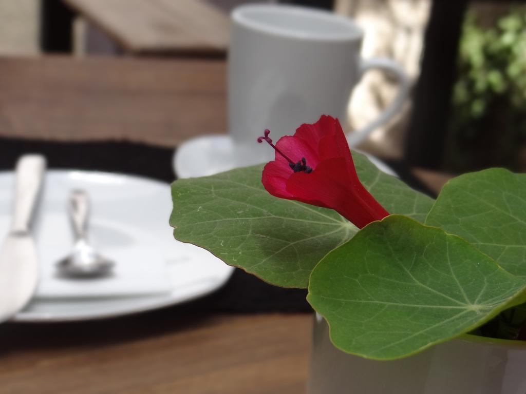 El Museo Hotel Boutique ลาปาซ ภายนอก รูปภาพ